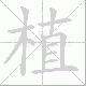 植笔顺