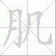 肌笔顺