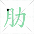肋笔顺