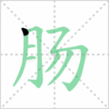 肠笔顺