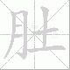 肚笔顺