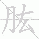 肱笔顺