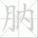 肭笔顺