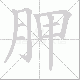 胛笔顺