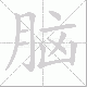 脑笔顺