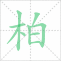 柏笔顺
